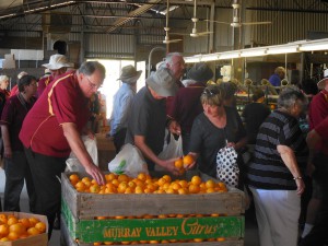 Members picking out their oranges to take home